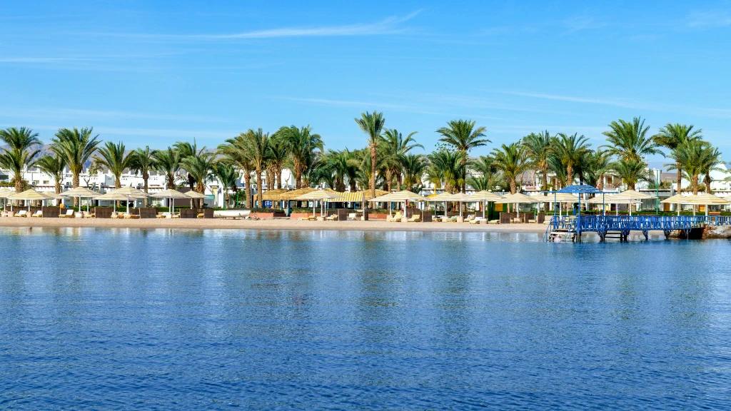 الفندق مينافيل ريزورت - سفاجا